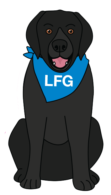 Blue the comfort dog