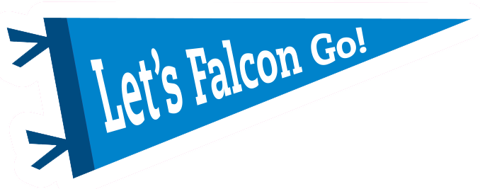 Let's Falcon Go pennant